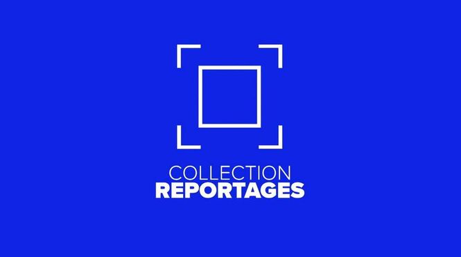 Detailbild Collection Reportages