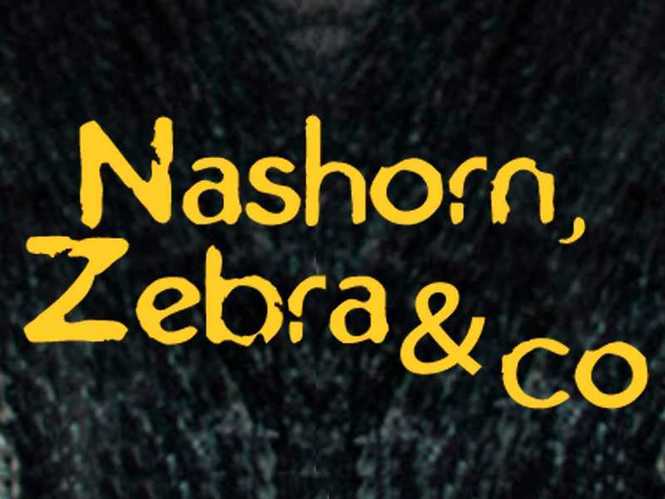 Detailbild Nashorn, Zebra & Co.