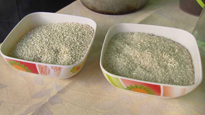 Detailbild Reis - ein Korn ernährt die Welt