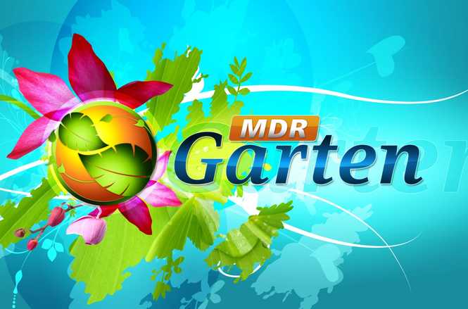 Detailbild MDR Garten