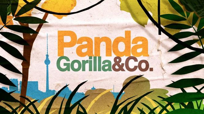 Detailbild Panda, Gorilla & Co.