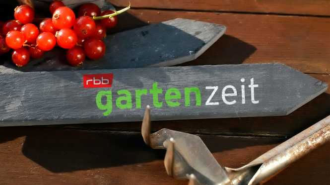 Detailbild rbb Gartenzeit