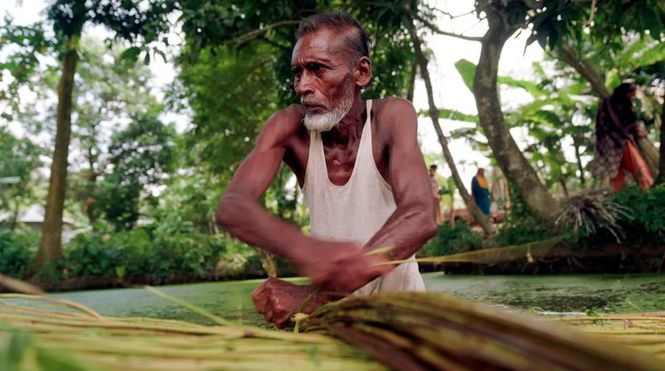Detailbild Faserfarmer - Bei Jutebauern in Bangladesch