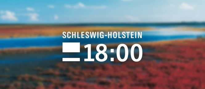 Detailbild Schleswig-Holstein 18:00