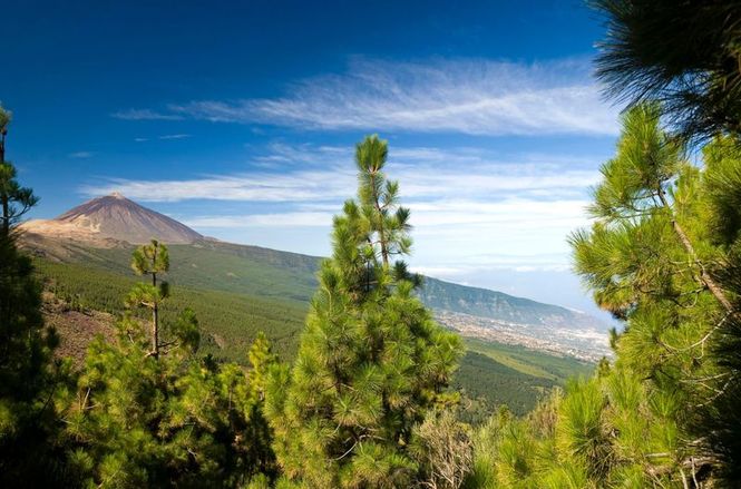 Detailbild Nachhaltig unterwegs auf Teneriffa