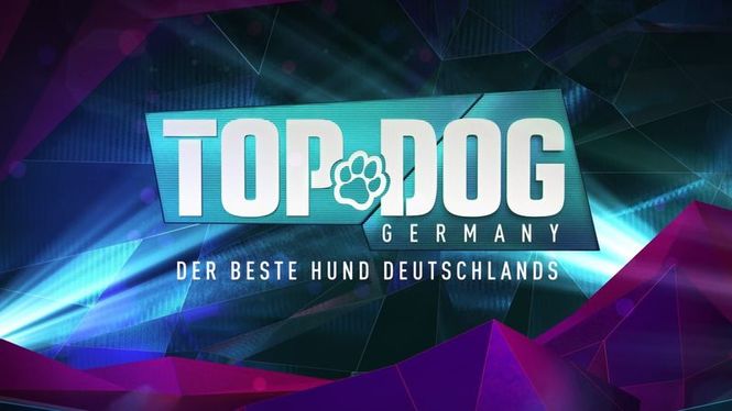 Detailbild Top Dog Germany - Der beste Hund Deutschlands