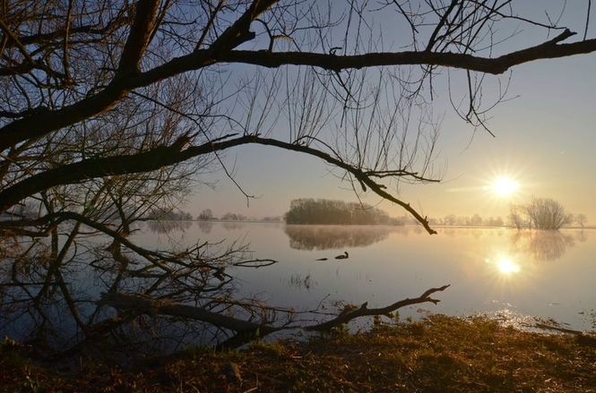 Detailbild Die Elbe