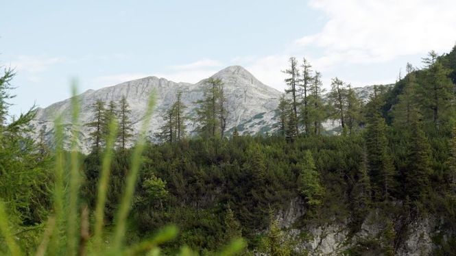 Detailbild Die schönsten Bergseen der Steiermark