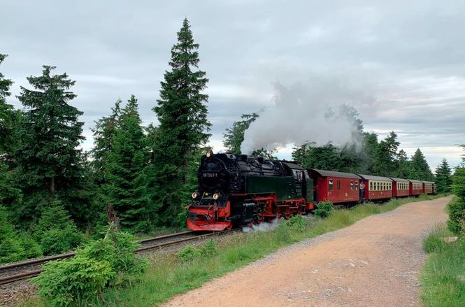 Detailbild Mit Volldampf auf den "Berg der Deutschen" - Die Brockenbahn