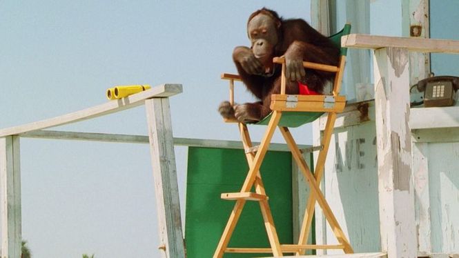 Detailbild Baywatch - Die Rettungsschwimmer von Malibu