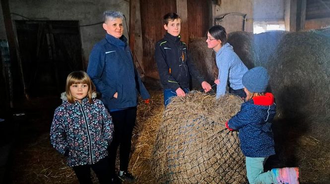 Detailbild 11 Kinder, 54 Tiere, ein Vollzeitjob: Zwischen Großfamilie und Ponyhof