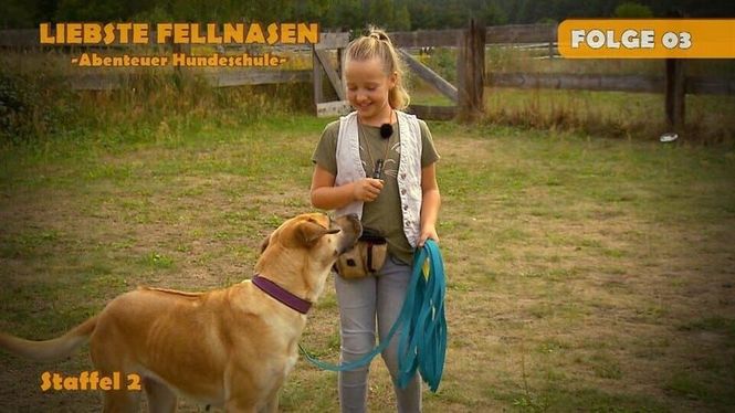 Detailbild Liebste Fellnasen - Abenteuer Hundeschule
