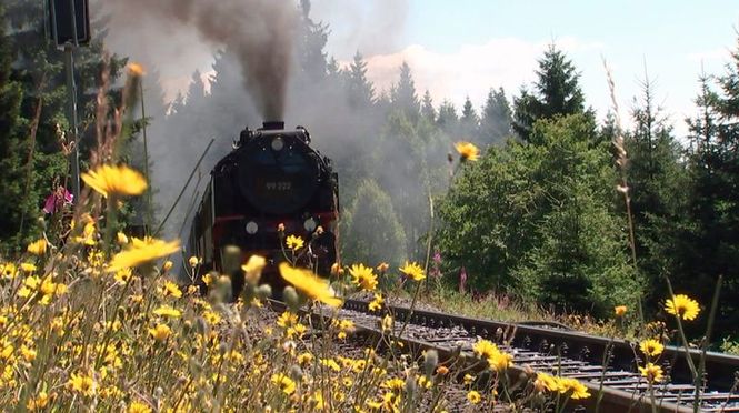 Detailbild Den Harz erleben - Brockenbahnen, Drahtseilakte und Fummelhölzchen