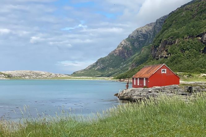 Detailbild Mittsommer in Norwegen