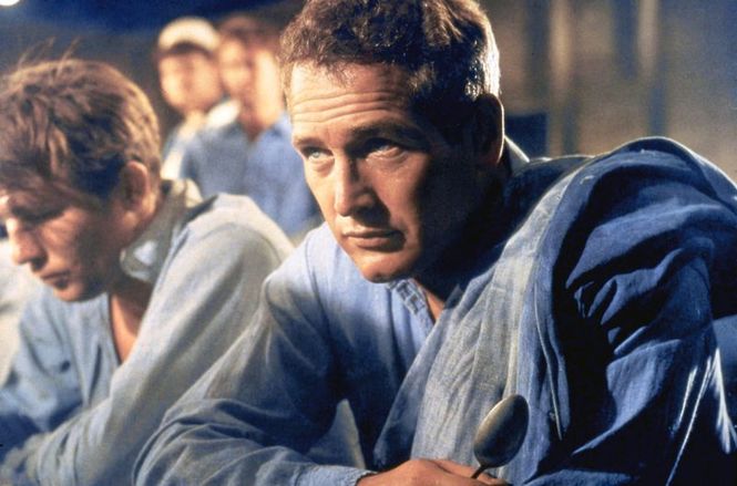 Detailbild Paul Newman - Der unwiderstehliche Typ