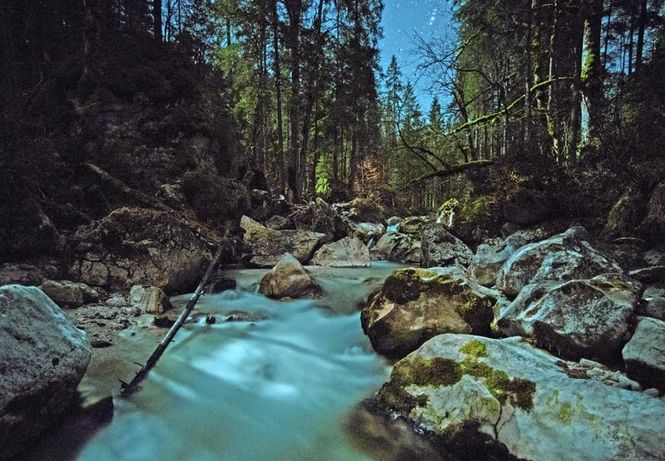 Detailbild Der Bach - Naturjuwel vor der Haustür