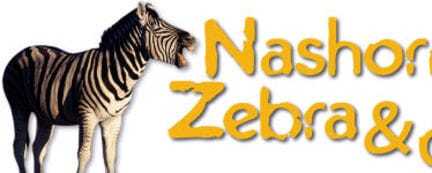 Detailbild Nashorn, Zebra & Co
