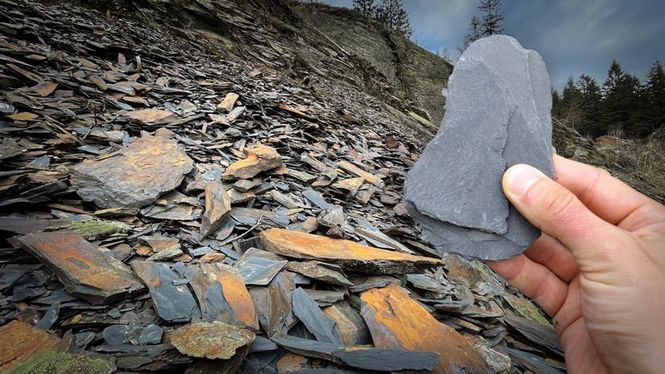 Detailbild Deutschlands Schätze - Expedition in die Erdgeschichte