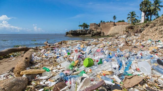 Detailbild Plastikmüll - die globale Umweltkatastrophe