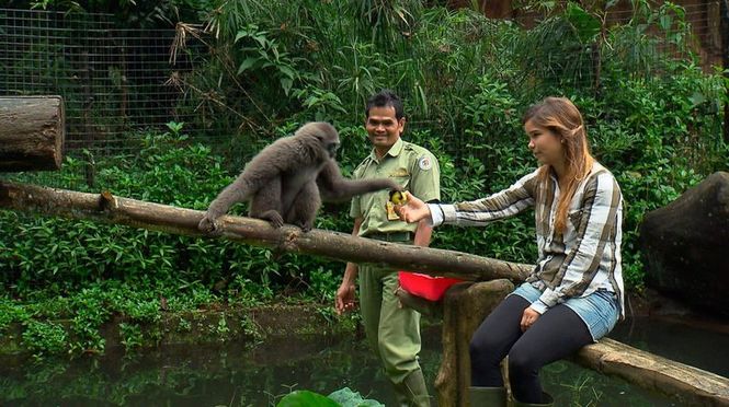 Detailbild Anna und die wilden Tiere