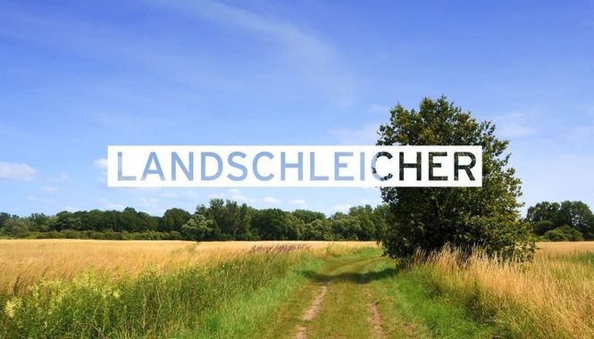 Detailbild Landschleicher