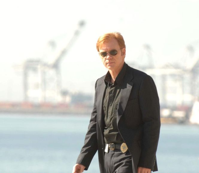 Detailbild CSI: Miami