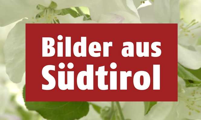 Detailbild Bilder aus Südtirol