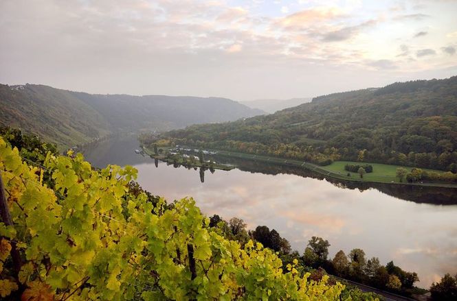 Detailbild Der Hunsrück: Das Gebirge des scheinbar nie endenden Waldes