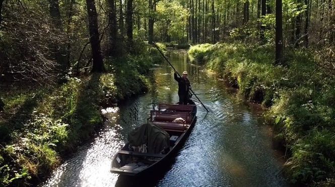 Detailbild Der Spreewald von oben