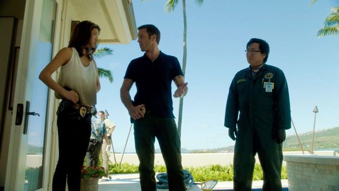 Detailbild Hawaii Five-0