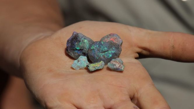 Detailbild Outback Opal Hunters - Edelsteinjagd in Australien