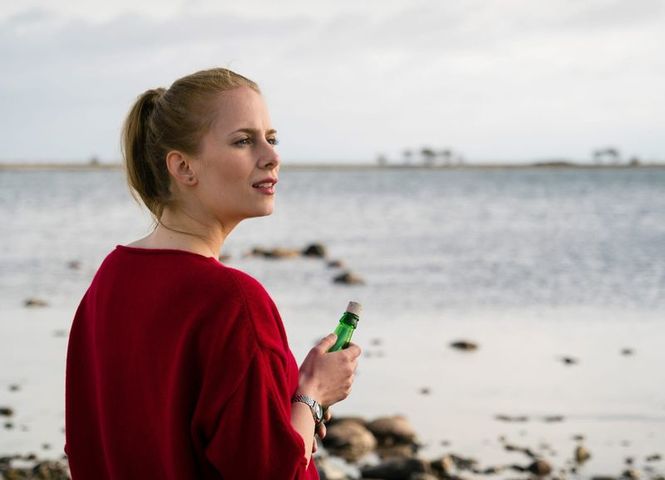 Detailbild Inga Lindström: Liebe lebt weiter