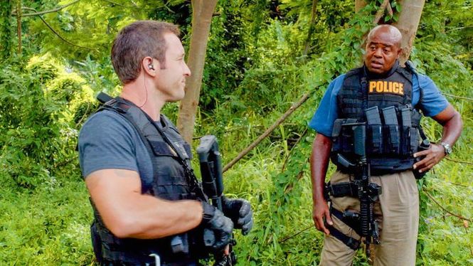 Detailbild Hawaii Five-0