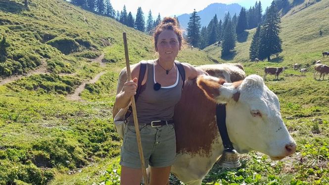 Detailbild Aufbruch in den Alpen - wenn die Wildnis zurückkehrt