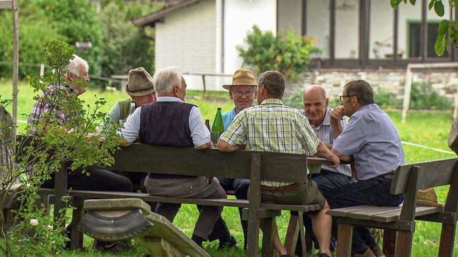 Detailbild "Wo Bio zu Hause ist" - Die Heumilchregion im Salzburger Seenland