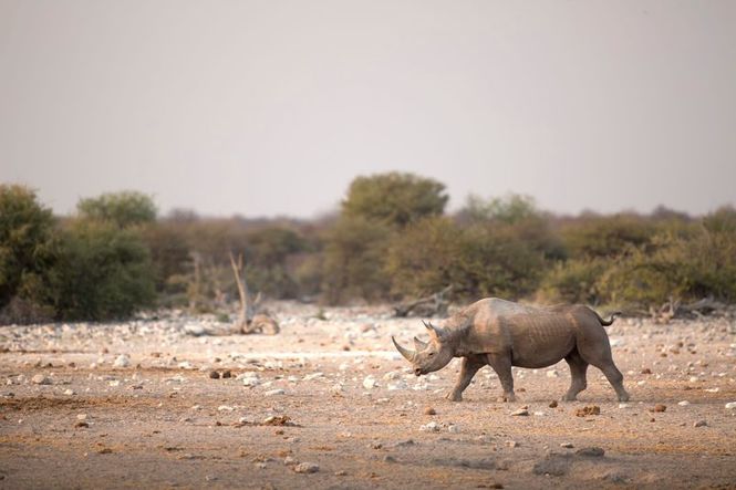 Detailbild Zoo und so - Tierisch wild!