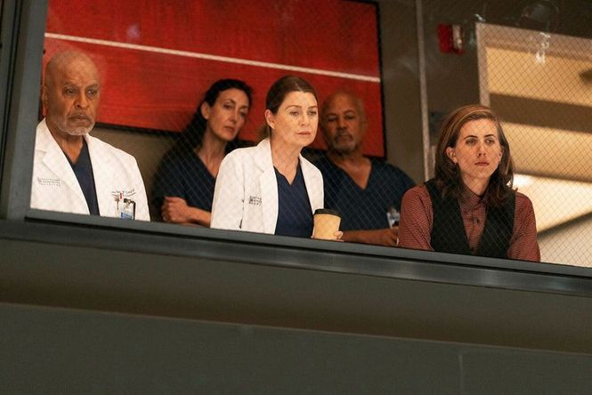 Detailbild Grey's Anatomy