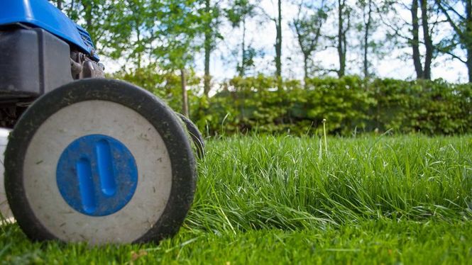 Detailbild Nur die Harten kommen in den Garten - Hightech-Gartengeräte