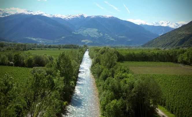 Detailbild Von Südtirol an die Adria - Entlang der Etsch