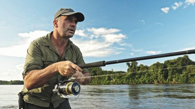 Detailbild Giganten unter Wasser - Riesenfischen auf der Spur