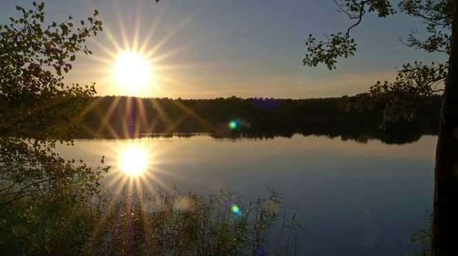 Detailbild Mecklenburgs geheime Wasserwildnis - Die Feldberger Seen