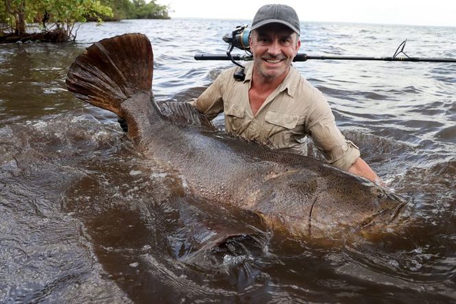 Detailbild Giganten unter Wasser - Riesenfischen auf der Spur