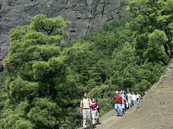 Detailbild La Palma - Die grünste der Kanaren