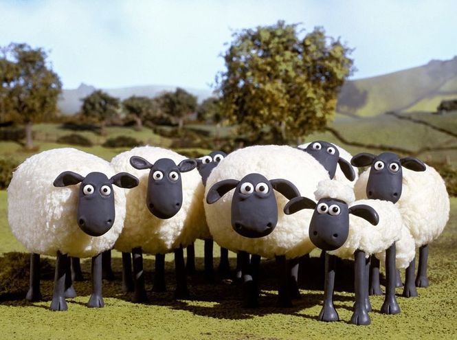 Detailbild Shaun das Schaf