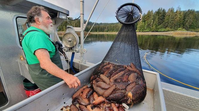 Detailbild In Alaskas Fjordwelt - Abenteurer in der Wildnis