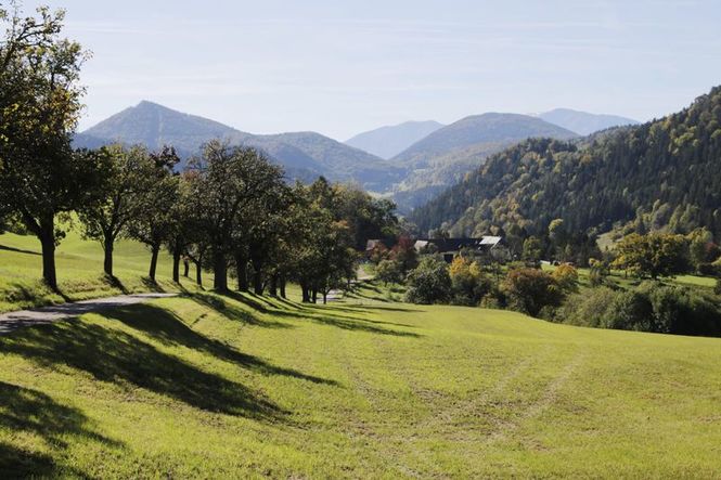 Detailbild Hermann Maier: Meine Heimat - Die Sonnenberge Niederösterreichs