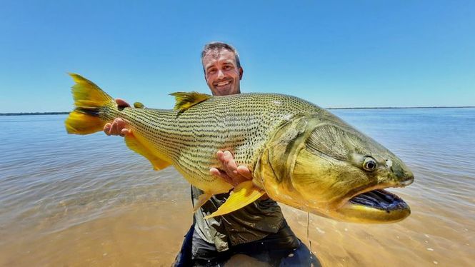 Detailbild Giganten unter Wasser - Riesenfischen auf der Spur