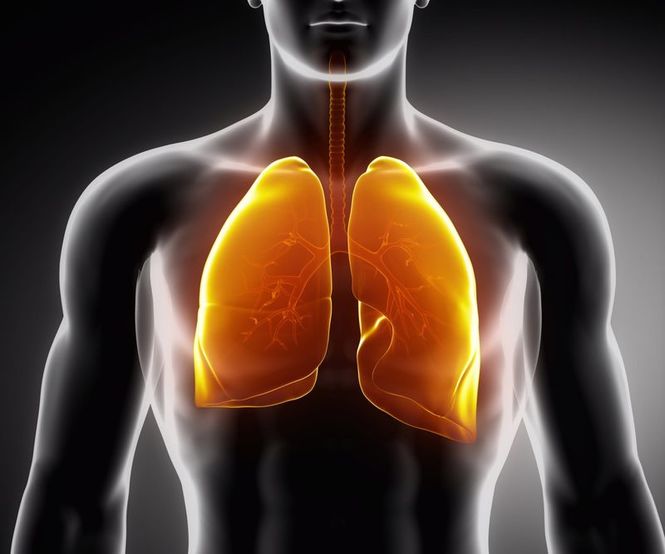 Detailbild Lungenheilkunde - Einmal tief Luft holen