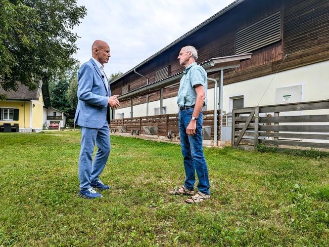 Detailbild Was braucht Österreich?