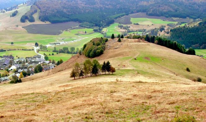 Detailbild Feste und Bräuche auf dem Land - Erinnerungen aus dem Südwesten